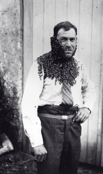 El apicultor Angel Peuchaud cubierto de abejas en Angouleme, Charentes, Francia de French Photographer