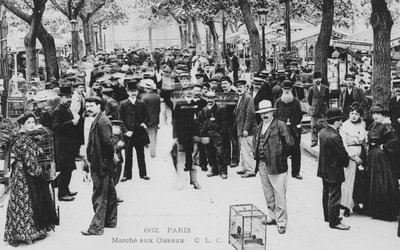 Mercado de pájaros, París de French Photographer