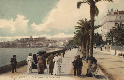 Cannes, El Paseo de La Croisette de French Photographer