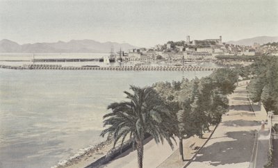 Cannes, Puerto y Ciudad antigua, Boulevard de la Croisette de French Photographer