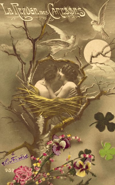 Pareja abrazándose en un nido de pájaros de French Photographer