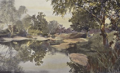 Fontainebleau, Bosque, Charca de Franchard de French Photographer