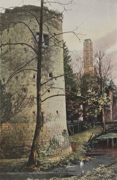 Fontenay-Tresigny, Ruinas del castillo de Vivier-en-Brie de French Photographer