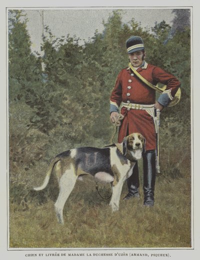 Perro y cazador con el uniforme de la caza de la Duquesa de Uzes, Francia de French Photographer