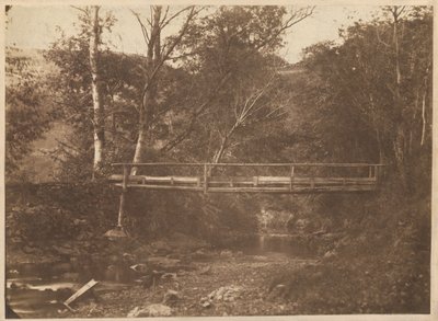 Paisaje con árboles y puente,c. 1850 (foto) de French Photographer