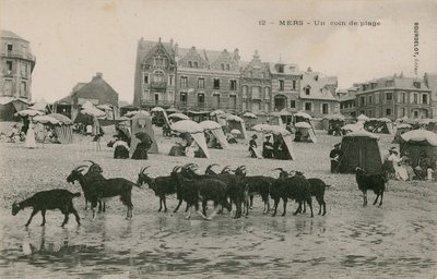 Mers - una parte de la playa. Postal enviada en 1913. de French Photographer