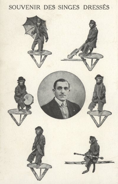 Monos con disfraz de French Photographer