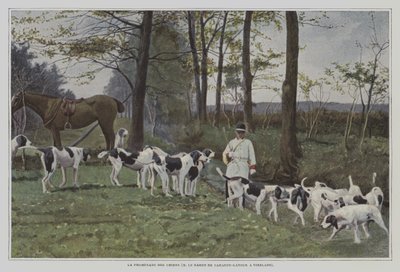 Manada de perros de caza del Barón de Carayon-Latour en Virelade, Francia de French Photographer