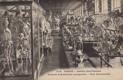 París, Jardín de las Plantas de French Photographer
