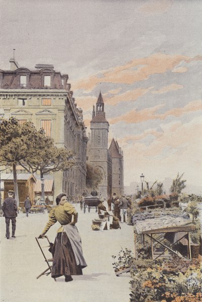 París, Quai aux Fleurs de French Photographer