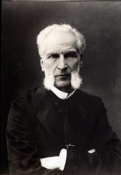 Retrato de Aime Joseph Edmond Rousse (1817-1906), abogado francés de French Photographer