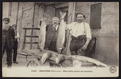 Postal que representa una buena pesca de salmones en Brioude, Haute-Loire, c.1900 de French Photographer