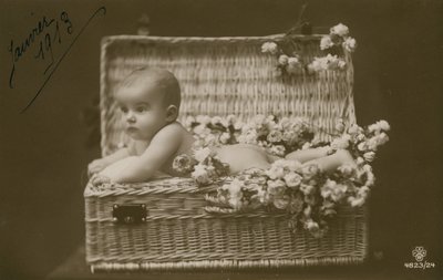 Bebé en una cesta de mimbre con flores de French Photographer