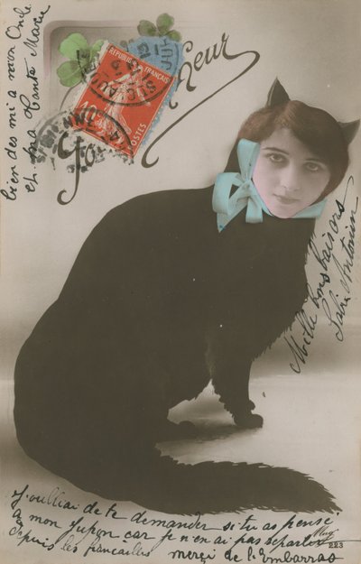 Gato con cara de mujer de French Photographer