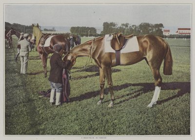 Caballos de carrera en Deauville, Francia de French Photographer