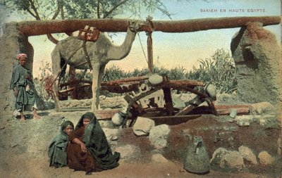 Sakia, Alto Egipto (foto en color) de French Photographer