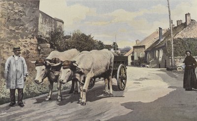 Saulieu, Un carruaje en el Morvan de French Photographer