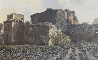 Tiffauges, Ruinas del Castillo, Vista tomada del patio de French Photographer