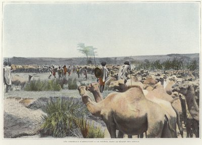 Abrevando los camellos en la fuente del desierto de French Photographer
