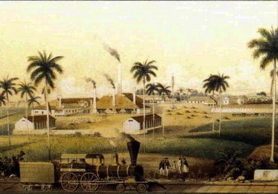14784N Fabricación de ron en el Caribe Colección de French School
