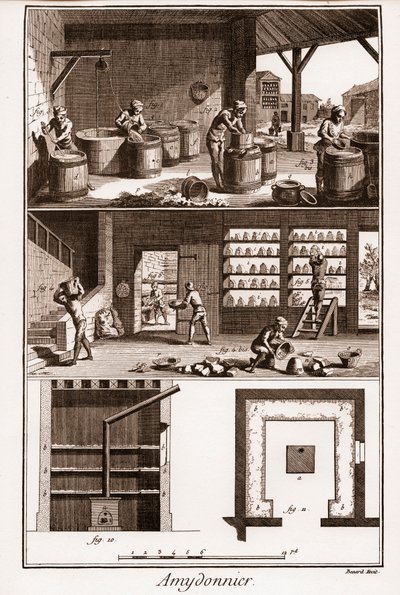 AMDONIER - Amydonnier - “La Gran Enciclopedia, o Diccionario Razonado de las Ciencias, las Artes y los Oficios” por Denis Diderot (1713-1784) y Jean d