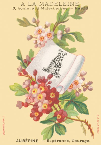 A: espino - esperanza, coraje de French School