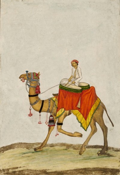 Un camello con su jinete tocando tambores, c. 1840 de French School