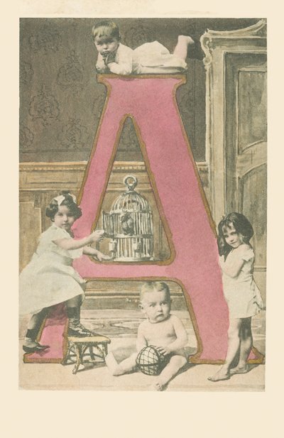 A: Cuatro niños pequeños, una jaula y un cacatúa de French School