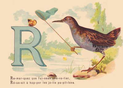 A: Aviso de que el pájaro caballero, Éxito para atrapar las bonitas mariposas de French School