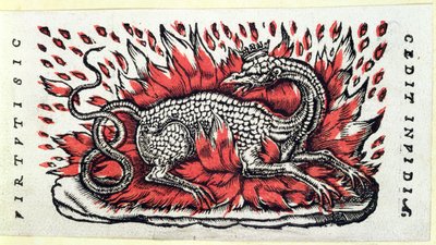 Una Salamandra, primera mitad del siglo XVI de French School