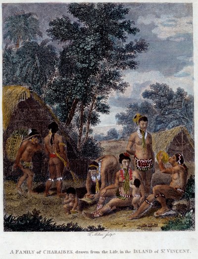 Una familia de indios Karibs de la isla de San Vicente en las Antillas Grabado del siglo XIX Museo de Bellas Artes de Chartres de French School