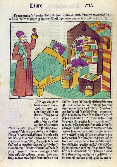 Un paciente con un doctor y un farmacéutico, de Le Livre des Proprietes des Choses por Barthelemy l