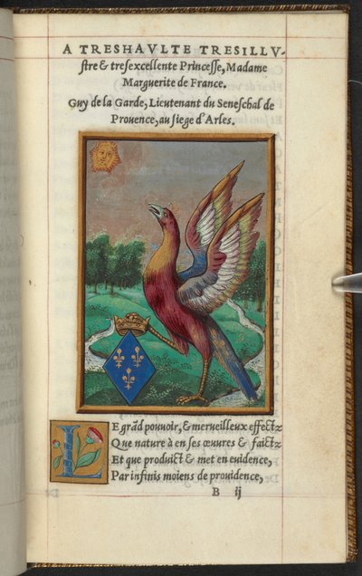 Un fénix, de La historia y descripción del fénix, etc. chico de la guardia de French School