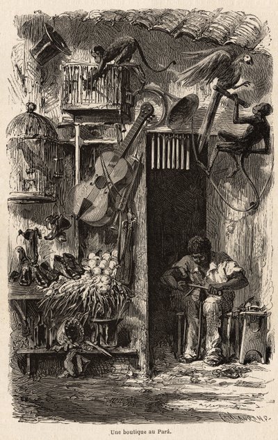 Una tienda en Pará, ilustración del viaje del Sr. Biard a Brasil en 1858-1859. Grabado en “Le tour du monde” 1861. Colección de Selva de French School