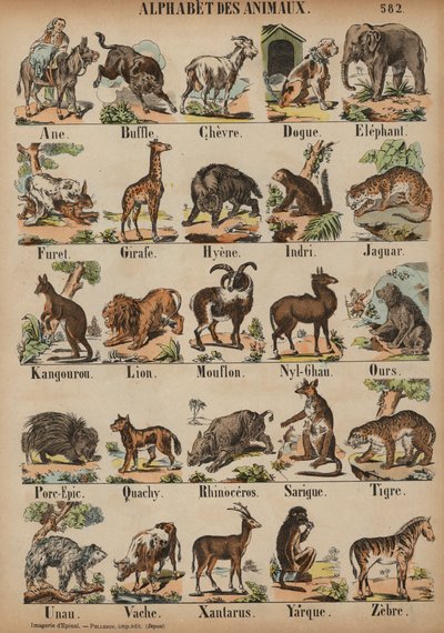 De la A a la Z de los animales de French School