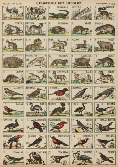 De la A a la Z de animales y aves de French School