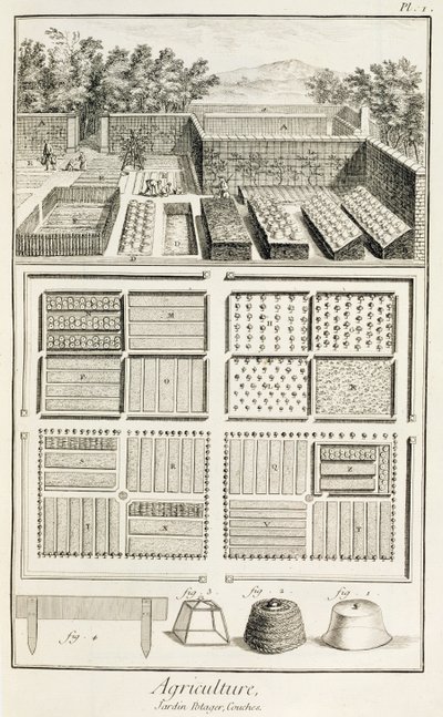 Un huerto, de La Enciclopedia de Ciencia, Arte e Ingeniería por Denis Diderot (1713-84), c.1770 de French School
