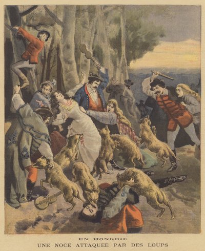 Una boda en Hungría atacada por lobos de French School