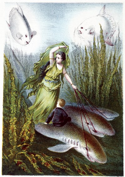 Una mujer y un niño huyendo de peces gigantes sobre tiburones - en "Viaje al fondo del mar" de H. de la Blanchère. París, ed. Jouvet et Cie, sd. 1880. de French School