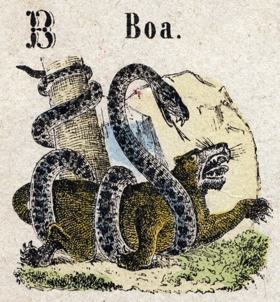 Abecedario. Letra B como Boa. Pequeño alfabeto enciclopédico, serie popular. Imagen de Epinal, finales del siglo XIX de French School