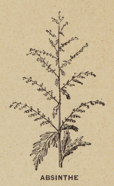 Absenta (grabado) de French School
