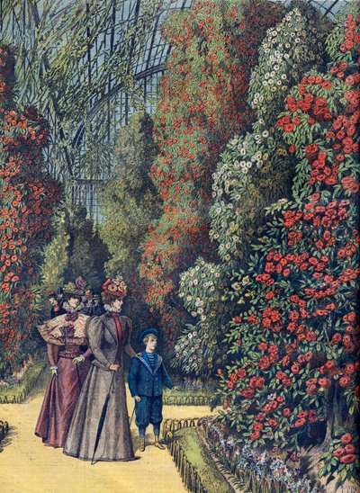 Jardín de aclimatación - la serre des camelias - Invernadero de camelias en un jardín botánico de French School
