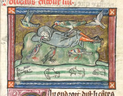 Agregar. 10292, f.29 Un hombre dormido rodeado de pájaros, ilustración de 