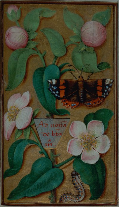 Add 35214 f.67 Flores y mariposas, de un Libro de Horas, París de French School