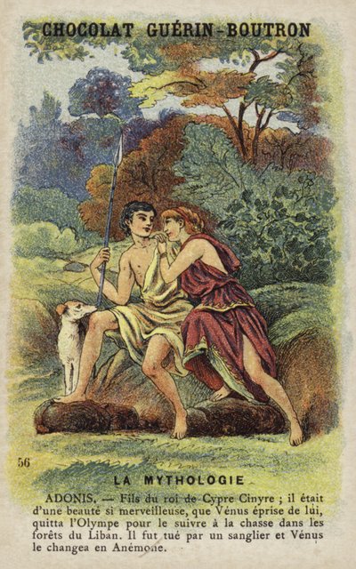 Adonis de French School