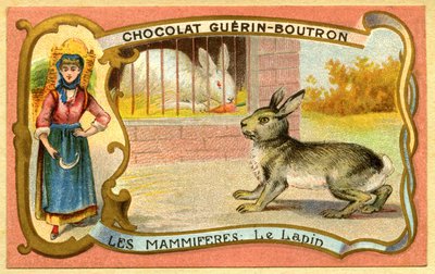 Cromolitografía publicitaria de chocolates Guerin Boutron, Mamíferos, La jaula del conejo y salvaje, madriguera de French School