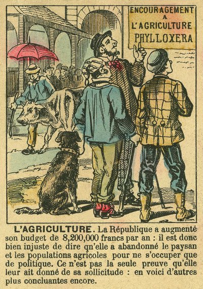 La Agricultura ilustra los beneficios de la Tercera República en la inversión agrícola y su preocupación por las poblaciones campesinas. Grabado, en "Le Figaro, suplemento", el 30/03/1889, París. Coll. Selva. de French School