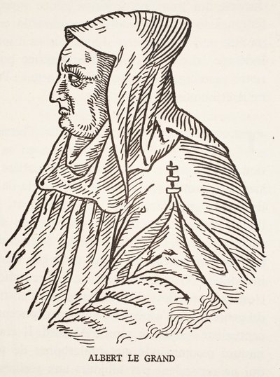Alberto Magno de French School