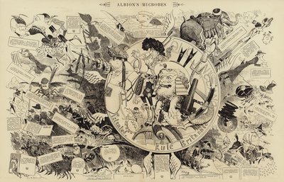 Los microbios de Albion (grabado) de French School