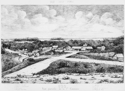 Álbum de la Isla de los Pinos, Uro, 1878-79 de French School